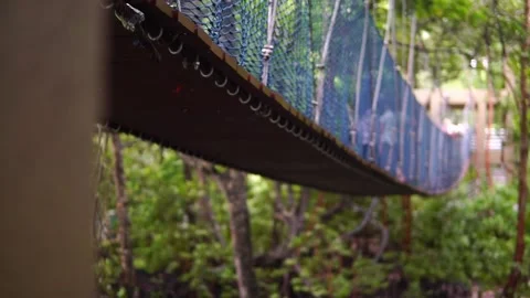 Perspective view of treetop canopy footbridge. Treetop walkway natural eco park. Stock Footage 167959452