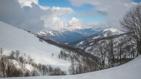 Perspective in winter highland forest time lapse Stock-Footage 83694050