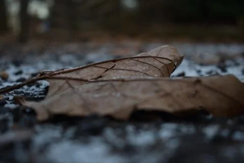 Perspectives Foto stock