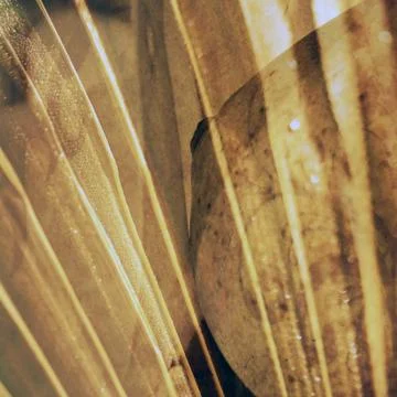 Perspiration Stock Photos