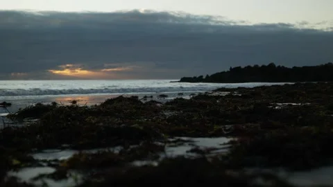 Perth beach at sunset and seaweed washed in 6K Stock Footage 311900464