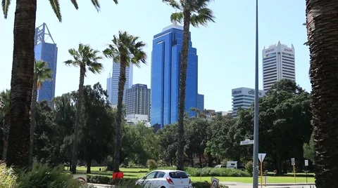 Perth CBD Skyline with Palms Stock Footage 58471876