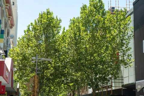 Perth City Stock Photos