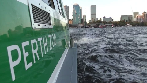 Perth Ferry scross Swan River from Elizabeth Quay Stock Footage 74489634