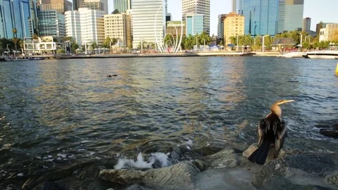 Perth skyline at sunset Stock Footage 84969469