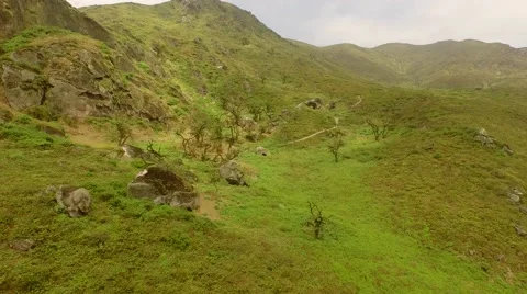 PERU Aerial: Ecosystem in Desert Stock Footage 68993563