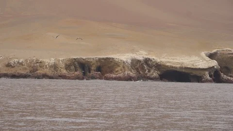 Peru Ballestas Islands Video stock 86461764