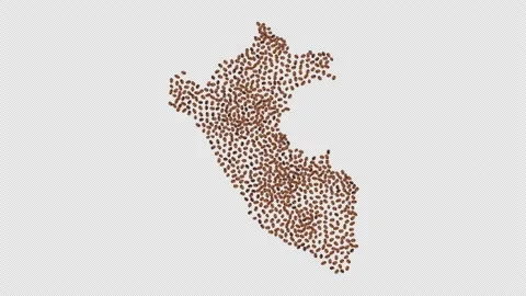 Peru Coffee Beans Stock Footage 152673024