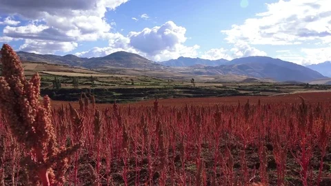 Peru fields, mountains, van drive-by 스톡 동영상 74592499
