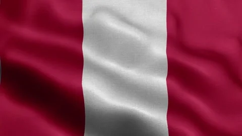 Peru flag Front Stock Footage 318667822