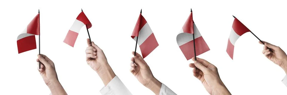 The Peru flag in hand in different angles on a white background Stock Illustration