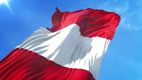 Peru Flag Low Angle View Stock Footage 295694950