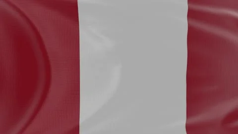 Peru flag in slow motion animation waving in the wind realistic Stock Footage 142996958