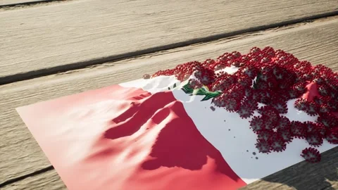 Peru Flag - Virus Growth Stock Footage 320285810