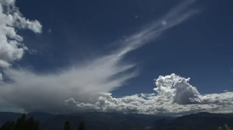Peru growing barley Stock Footage 39296306