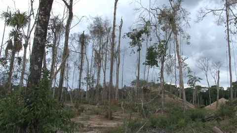 Peru illegal gold mining in the Amazon desolate landscape Stock Footage 86324364