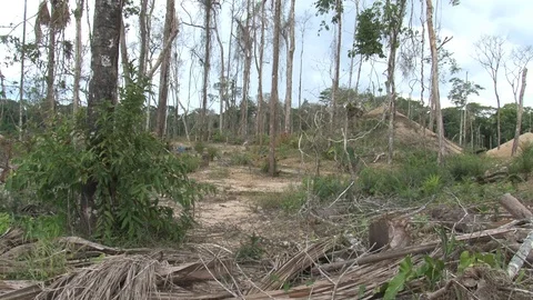 Peru illegal gold mining in the Amazon desolate landscape Stock Footage 86324807