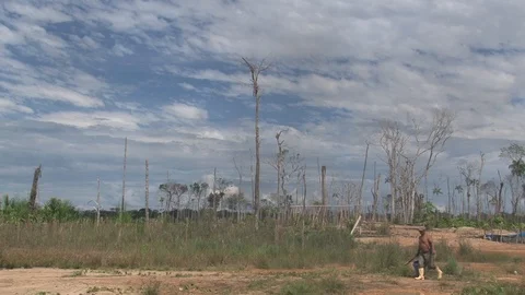 Peru illegal gold mining in the Amazon miner walks across desolate landscape Stock Footage 86324958