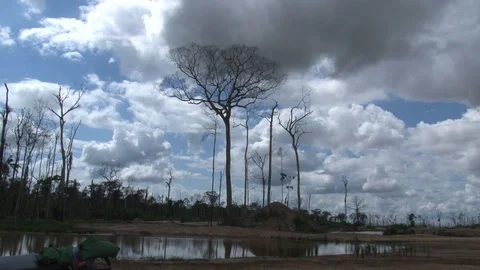 Peru illegal gold mining in the Amazon desolate view, stripped tree Stock Footage 86326068