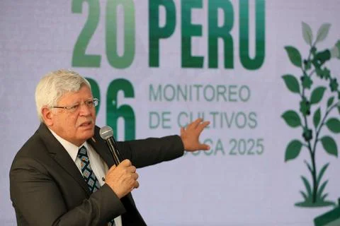 Peru reports third consecutive decline in coca cultivation, Lima - 17 Jul 2026 Stock-Fotos