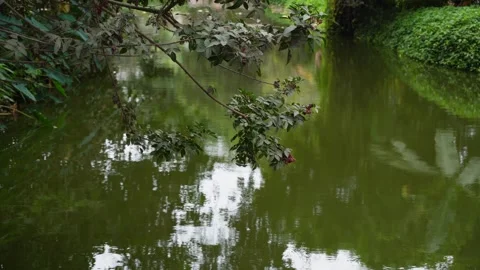 Peru River Vidéo 341322294