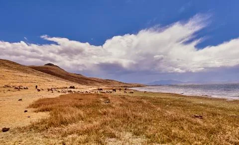 Peru, Sillustani, Scenic view of arid landscape Stock Photos