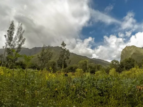 Peru, Timelapse Over Mountains Coffee Field Stock Footage 128209074