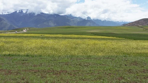 Peru Valley Drone 4K Fast Move Forward over Fields With Yellow Flowers Stock Footage 127870209