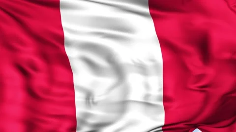 Peru Waving Flag Background 스톡 동영상 204134703