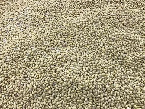 Peruano Beans Stock Photos