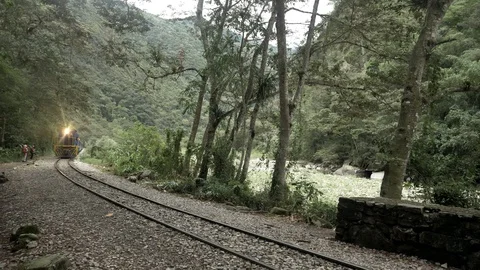  Perurail Train wich connect Cusco and Machu Picchu in Aguas Calientes, Cusco,  Stock Footage 125278955
