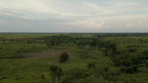 Peruvian Amazon Landscape Drone 動画素材 309357202