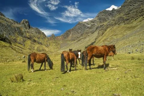 Peruvian andes Stock Photos