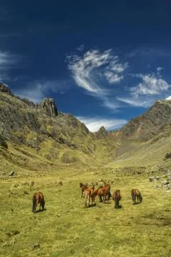 Peruvian andes Stock Photos
