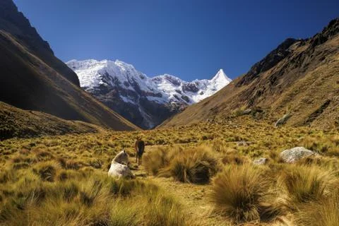 Peruvian andes Stock Photos