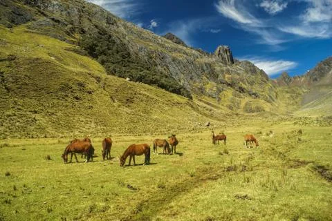 Peruvian Andes Stock Photos