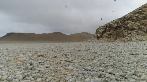 Peruvian Coast Stock-Footage 311291510