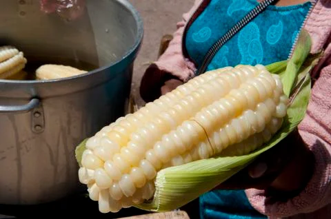 Peruvian Corn Stock Photos
