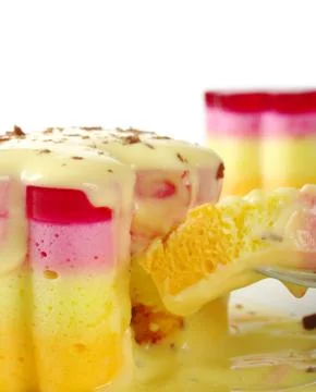 Peruvian dessert called torta helada with vanilla custard Stock Photos