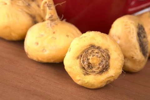 Peruvian ginseng (maca) Stock Photos