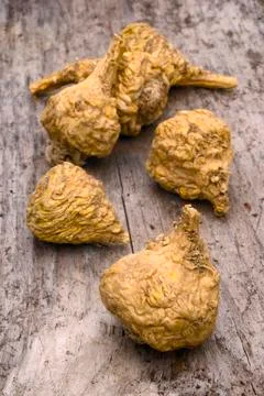 Peruvian ginseng or maca (Lepidium meyenii) Stock Photos