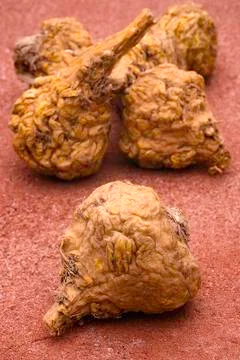 Peruvian ginseng or maca (Lepidium meyenii) Stock Photos