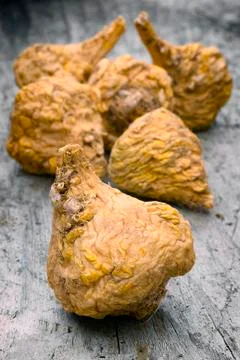 Peruvian ginseng or maca (Lepidium meyenii) Stock Photos