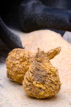 Peruvian ginseng or maca (Lepidium meyenii), superfood Stock Photos
