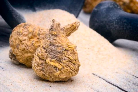 Peruvian ginseng or maca (Lepidium meyenii), superfood Stock Photos