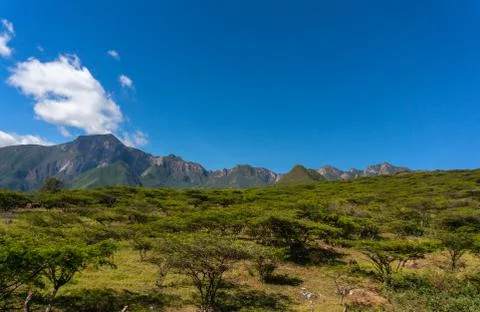 Peruvian highlands Stock Photos
