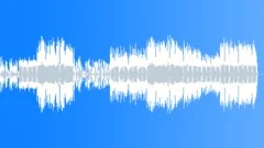 Peruvian Home (No Charango) Stock Music