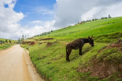 Peruvian landscape scenery Stock-Fotos