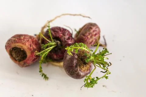 Peruvian Maca Fotos Stock
