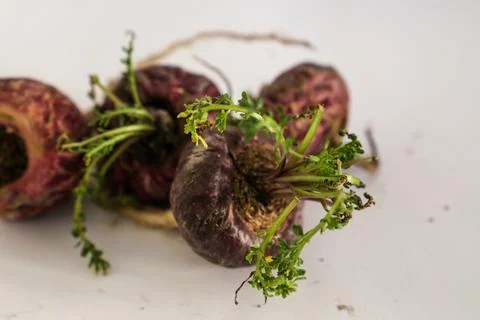 Peruvian Maca Fotos Stock